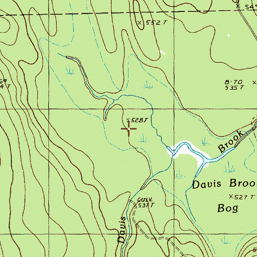 Topographic Map of Davis Brook Bog, ME