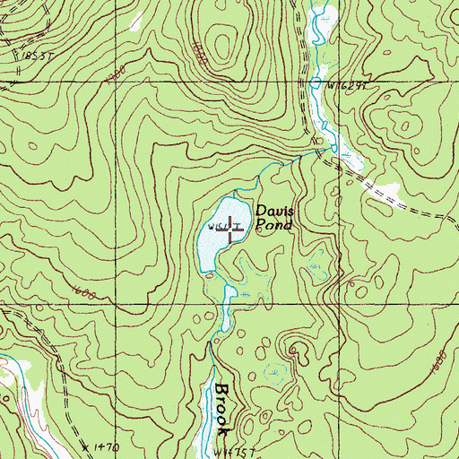 Topographic Map of Davis Pond, ME