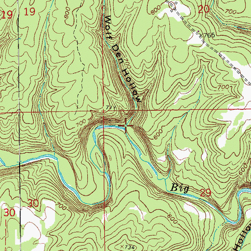 Topographic Map of Wolf Den Hollow, AR