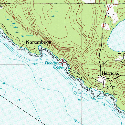 Topographic Map of Deadman Cove, ME