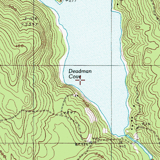 Topographic Map of Deadman Cove, ME