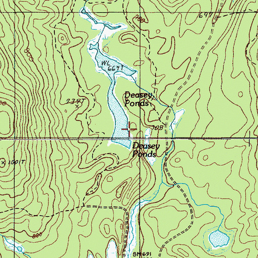Topographic Map of Deasey Ponds, ME