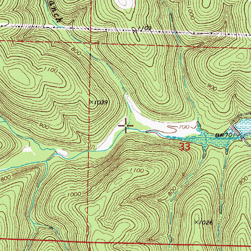 Topographic Map of Wolfpen Branch, AR