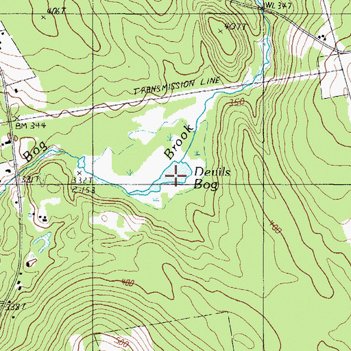 Topographic Map of Devils Bog, ME