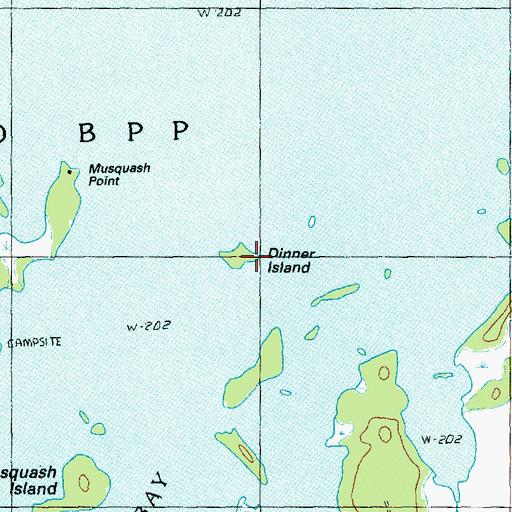 Topographic Map of Dinner Island, ME