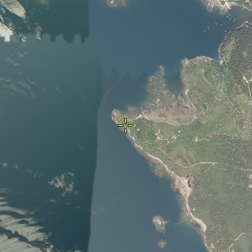Aerial/Satellite Image of Dodge Point, ME