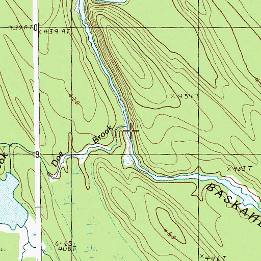 Topographic Map of Doe Brook, ME