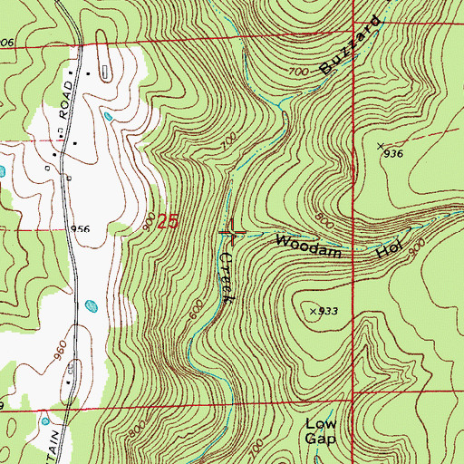 Topographic Map of Woodam Hollow, AR