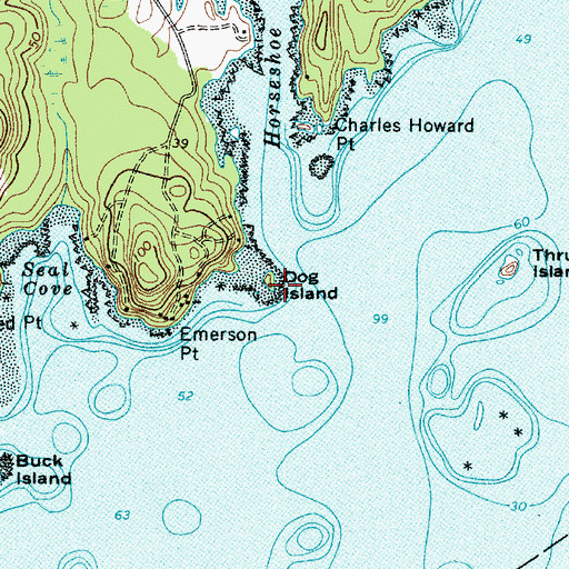 Topographic Map of Dog Island, ME