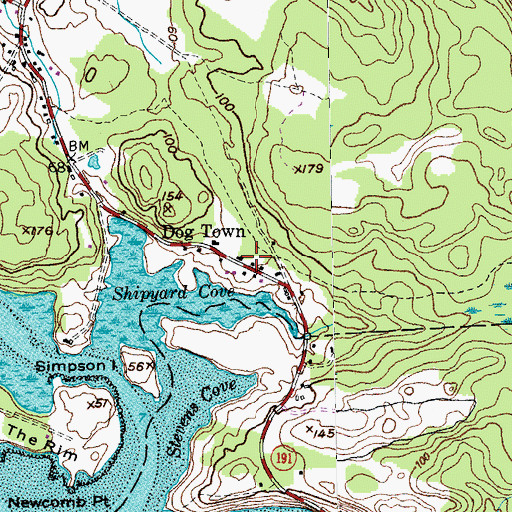 Topographic Map of Dog Town, ME