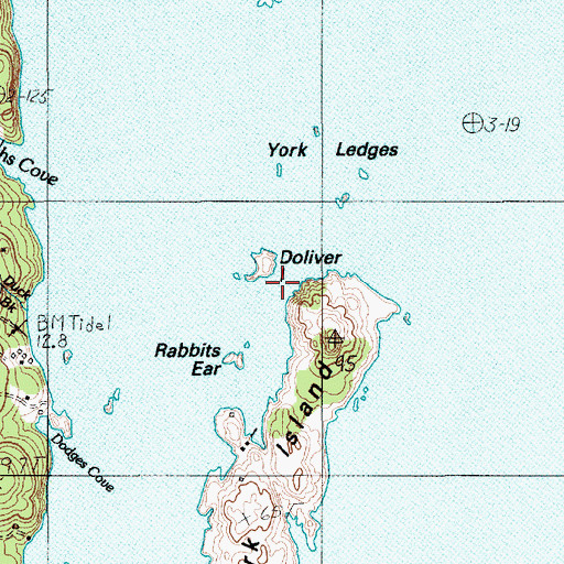 Topographic Map of Doliver Island, ME
