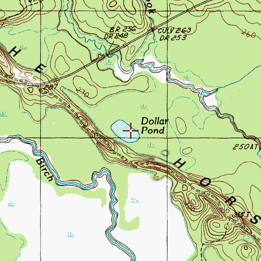 Topographic Map of Dollar Pond, ME