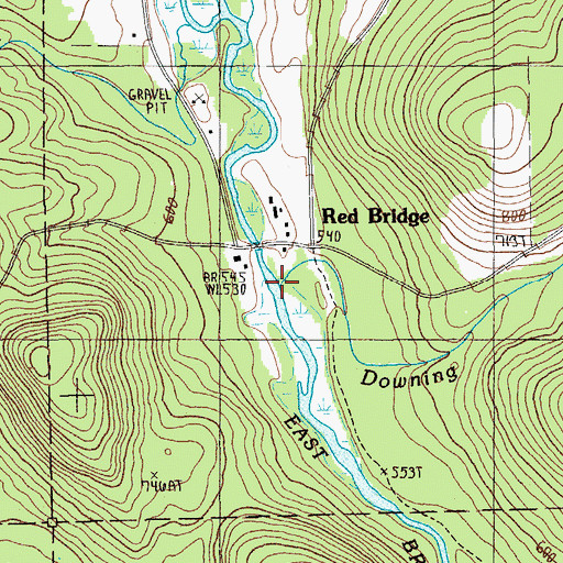 Topographic Map of Downing Brook, ME