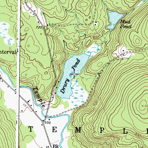 Topographic Map of Drury Pond, ME