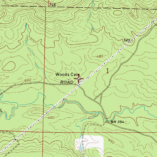 Topographic Map of Woods Cemetery, AR