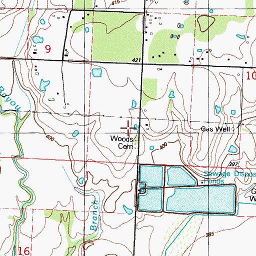 Topographic Map of Woods Cemetery, AR