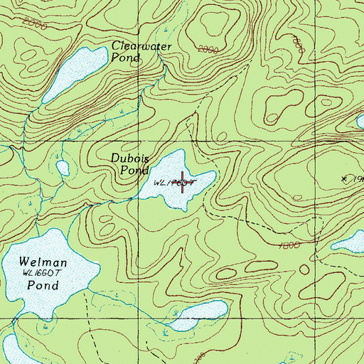 Topographic Map of Dubois Pond, ME