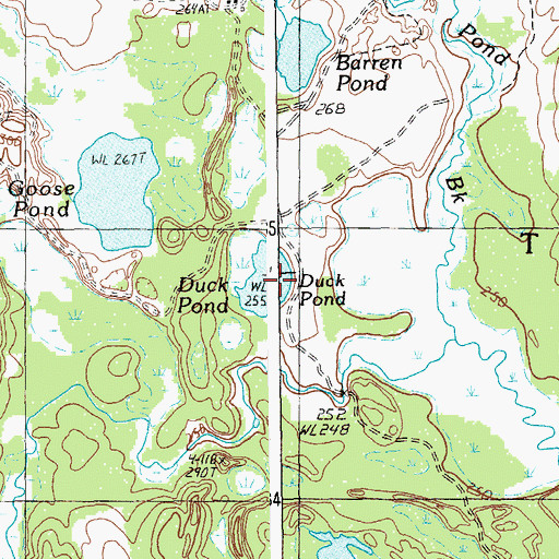 Topographic Map of Duck Pond, ME
