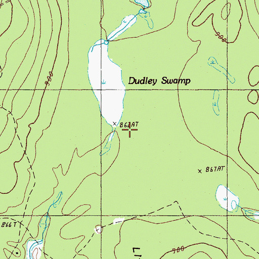 Topographic Map of Dudley Swamp, ME