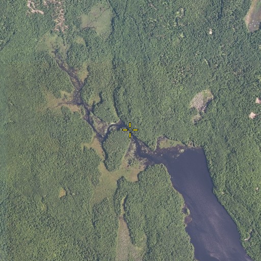 Aerial/Satellite Image of Dunham Brook, ME
