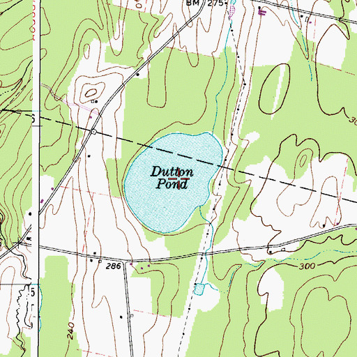 Topographic Map of Dutton Pond, ME