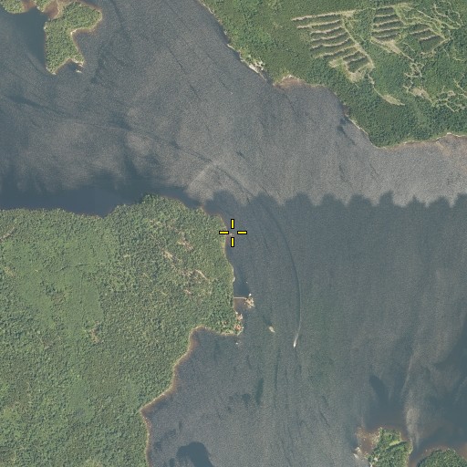 Aerial/Satellite Image of Eagle Point, ME
