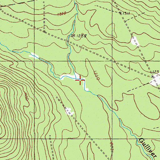 Topographic Map of East Branch Gulliver Brook, ME