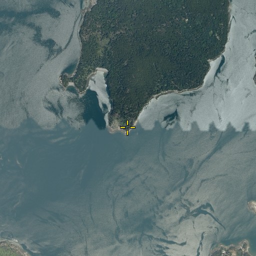 Aerial/Satellite Image of Eastern Point, ME