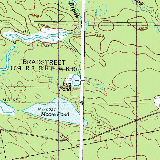 Topographic Map of Egg Pond, ME