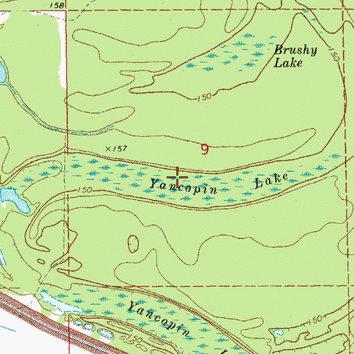 Topographic Map of Yancopin Lake, AR