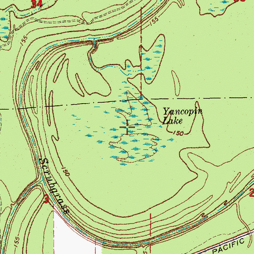 Topographic Map of Yancopin Lake, AR