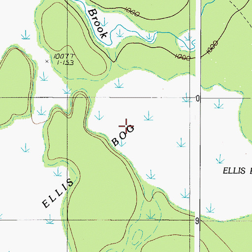 Topographic Map of Ellis Bog, ME