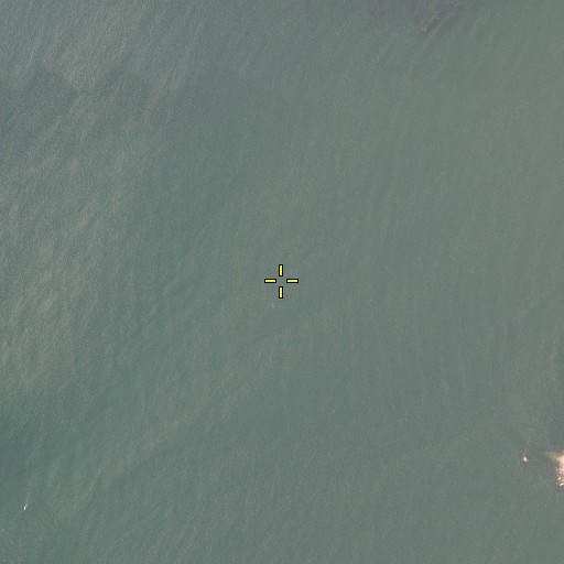 Aerial/Satellite Image of Emery Ledge, ME