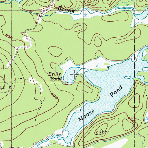 Topographic Map of Ervin Pond, ME
