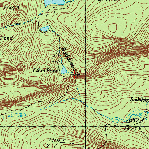 Topographic Map of Ethel Pond, ME