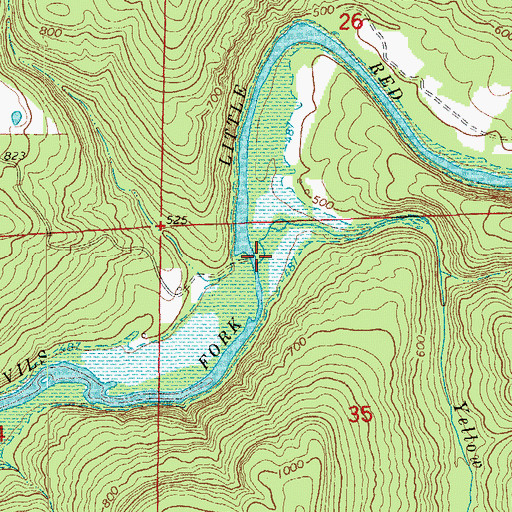 Topographic Map of Yellow Branch, AR