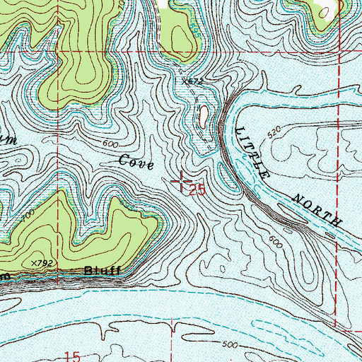 Topographic Map of Yocum Cove, AR