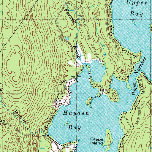 Topographic Map of Farwell Brook, ME