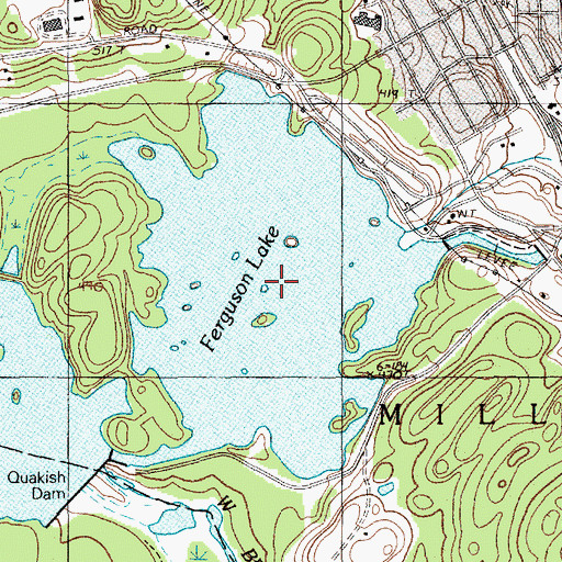 Topographic Map of Ferguson Lake, ME