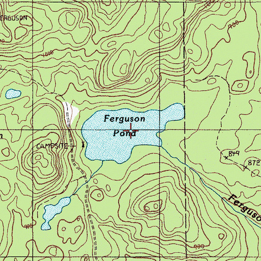 Topographic Map of Ferguson Pond, ME