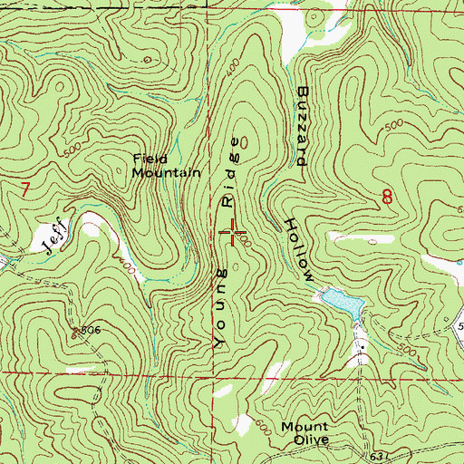 Topographic Map of Young Ridge, AR