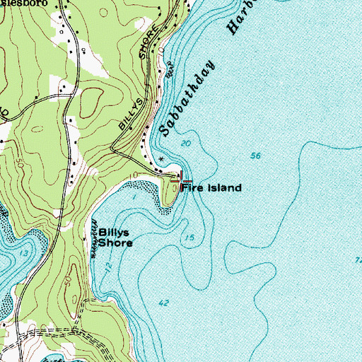 Topographic Map of Fire Island, ME