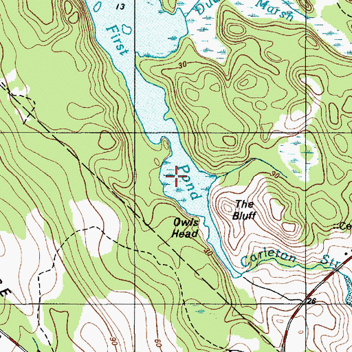 Topographic Map of First Pond, ME