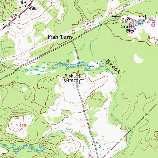 Topographic Map of Fish Cemetery, ME