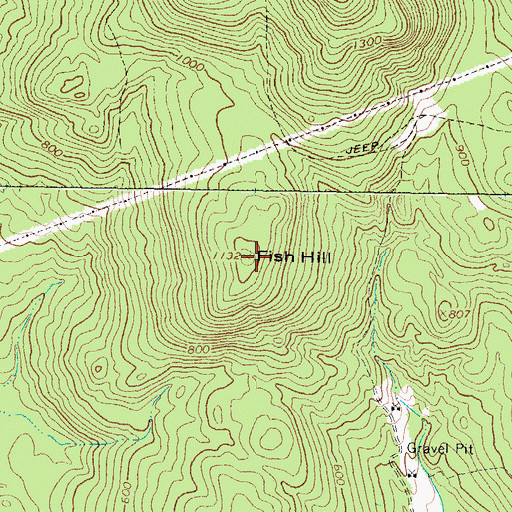 Topographic Map of Fish Hill, ME