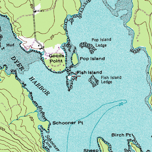 Topographic Map of Fish Island, ME
