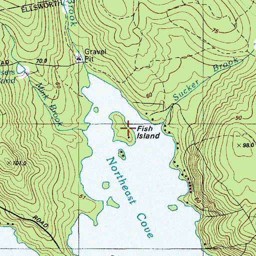 Topographic Map of Fish Island, ME