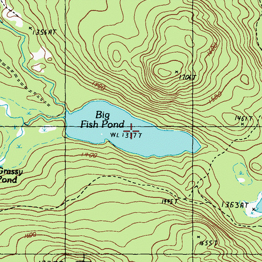 Topographic Map of Big Fish Pond, ME