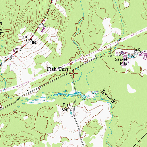Topographic Map of Fish Turn, ME