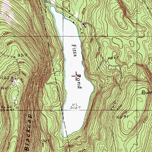 Topographic Map of Fitts Pond, ME